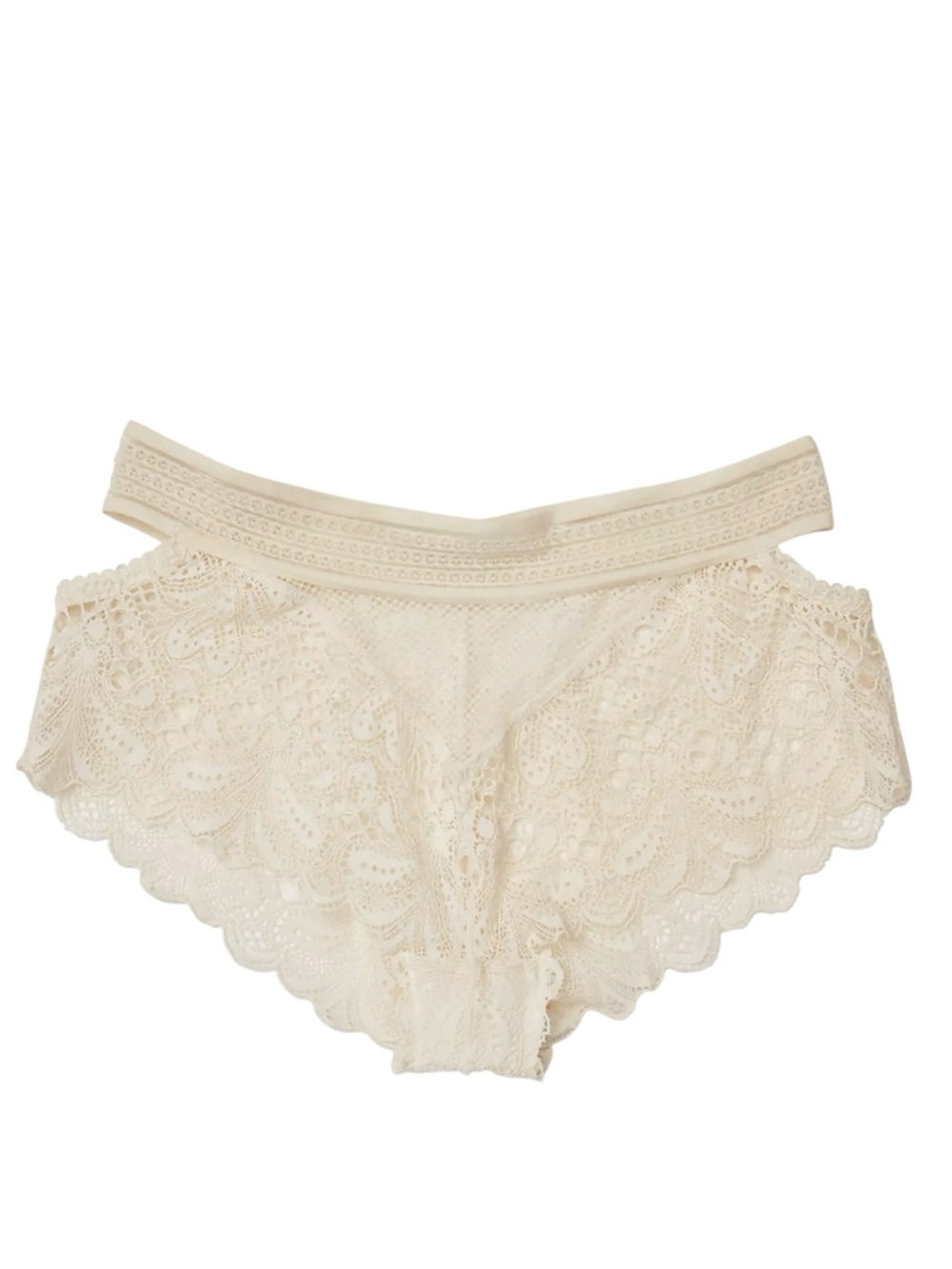 Free People Free Women's Moonlit Meadow Briefs, Size LARGE